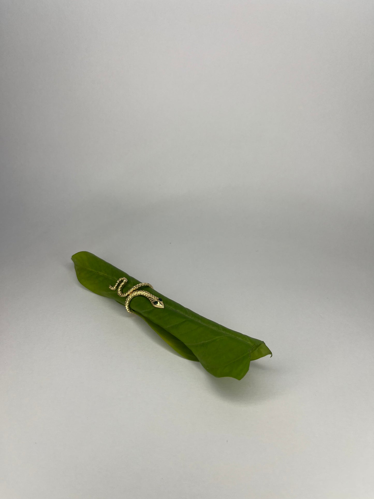 Reputation Era Serpent Ring — Bold Transformation, Eternal Power